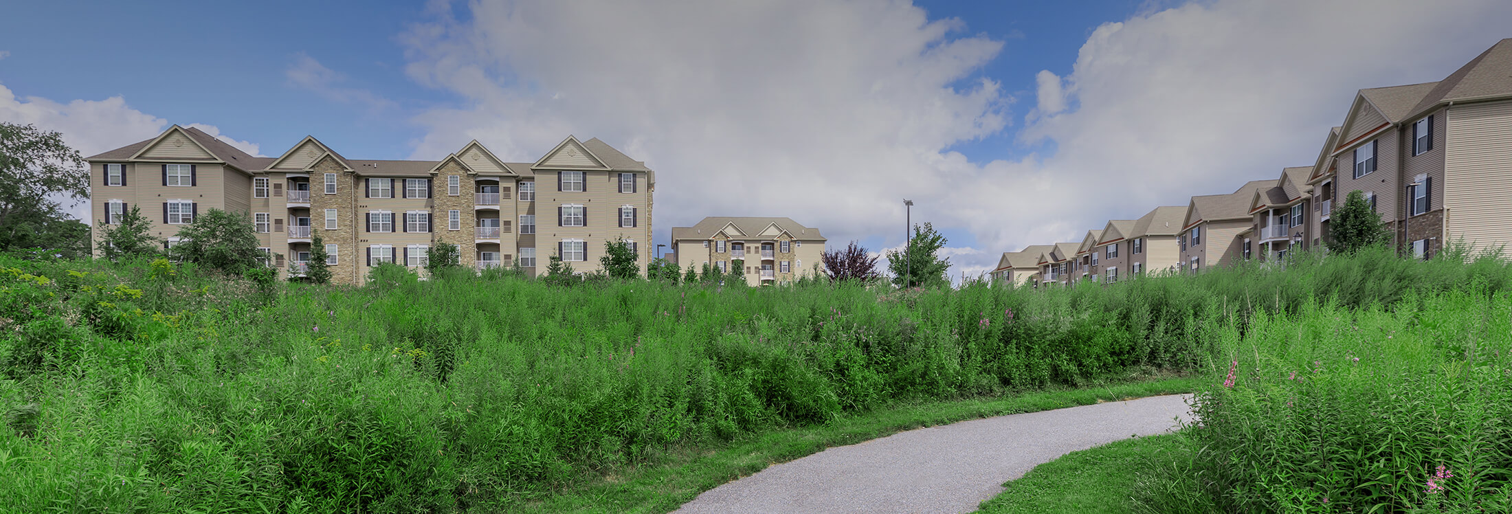 Neighborhood Page Image